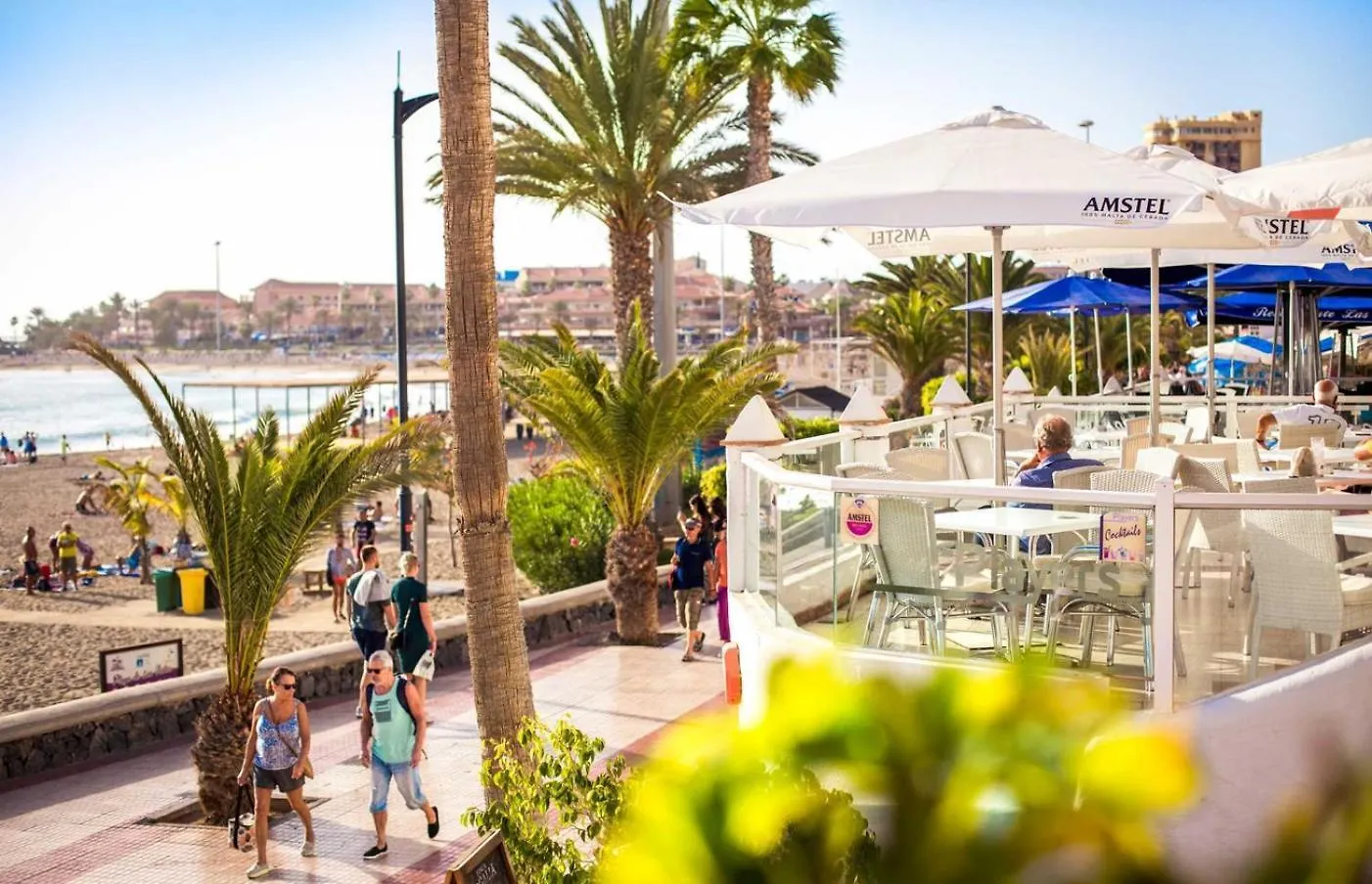 Few Steps From The Beach Hostel In Los Cristianos Arona