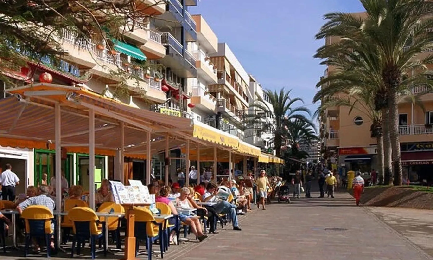 Few Steps From The Beach Hostel In Los Cristianos Arona   Arona (Tenerife)